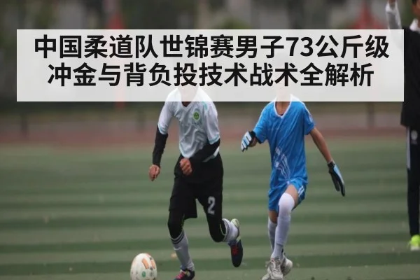 中国柔道队世锦赛男子73公斤级冲金与背负投技术战术全解析