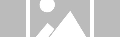 半岛体育APP-意大利名记：有人鼓吹樊振东巅峰不再，该谎言源于自上而下的授意|国际单项体育联合会|意大利奥运代表团|奥运会|奥运冠军|博扎